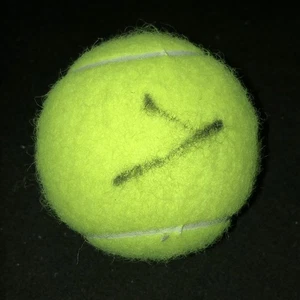 Jannik Sinner signiert Wilson US Open Tennisball Autogramm JSA COA - Bild 1 von 2