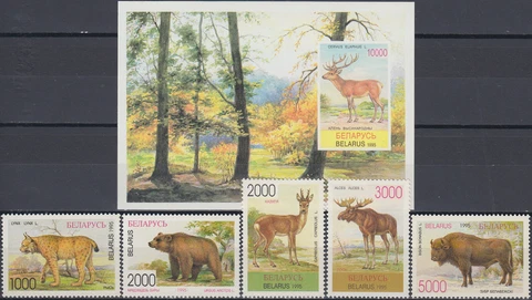 Belarus Set & S/S Endangered Species 1996 MNH-9 Euro Cover