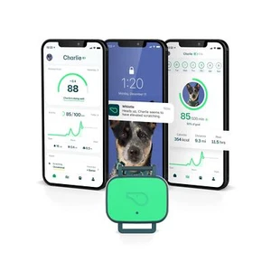 Whistle Health Smart Device | Dog Health and Fitness Tracker | Track Scratchi... - Picture 1 of 9