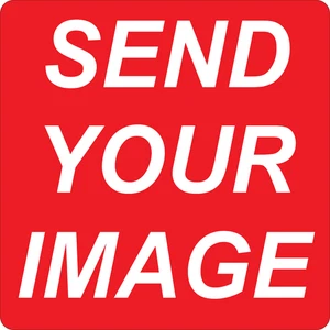 Pegatinas de vinilo personalizadas calcomanías troqueladas tu logotipo foto etiquetas comerciales impermeables - Imagen 1 de 6