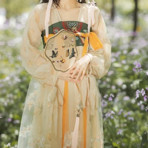 Lady Chinese Style Tulle Dress Fairy Hanfu Floral Embroidered Long Sleeve Summer - Picture 1 of 12
