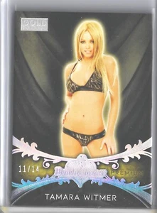 Benchwarmer Gold Premium Base Silver Holo 100 2020 Tamara Witmer 11/14 SKC - Imagen 1 de 2