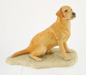 Hermosa figura de labrador dorado sentado Border Fine Arts de Ray Ayres - Imagen 1 de 5