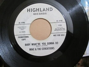 NORTHERN SOUL / SWEET SOUL 45 MIKE & CENSATIONS BABY WHAT'RE YOU GONNA DO VG+ - Foto 1 di 2