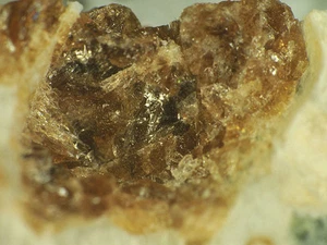 GOLYSHEVITE from Kola, Russia * TYPE LOCALITY SPECIMEN * 3,5 cm - Picture 1 of 4