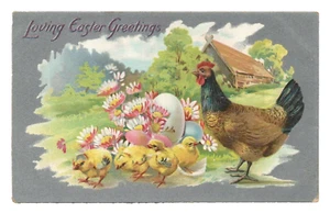 1909 Tuck's Easter Greetings Hen Rooster Chicks Eggs Postcard VTG Chicken Pastel - Imagen 1 de 2