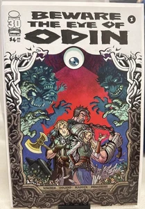 Beware the Eye of Odin #1 CVR A Tim Odland & Rob Cooke NM (Image, Jun. 2022) - Picture 1 of 2