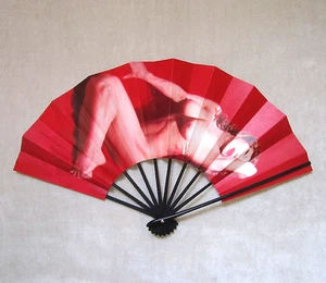 YASUMASA MORIMURA Original 1995 Fan Multiple - "Ambiguous Beauty / Aimai-no-bi" - Picture 1 of 4
