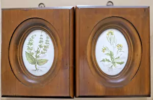 Villeroy Boch Botanica 2 quadri in porcellana bombata cornice in legno Diplotaxis muralis - Foto 1 di 13