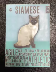 Siamkatze - hochwertiger Kühlschrankmagnet aus Metall - Bild 1 von 2