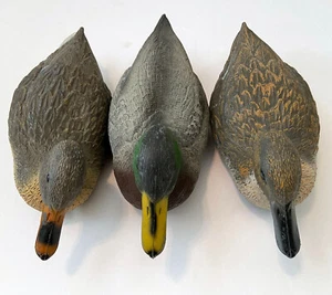 Lot of 3 SPORT PLAST Mallard Plastic Duck Decoys 16" Long Made Italy Hunting - Picture 1 of 12