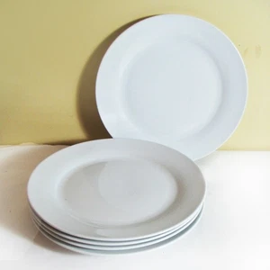 Set of 5 Sleek Contemporary White Dinner Plates Lovely Weight 10-3/4" Wide - Picture 1 of 3