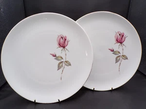 Pair Johann Haviland Crown Bavaria Germany Summer Rose Dinner Plates 10-1/4" F25 - Picture 1 of 8