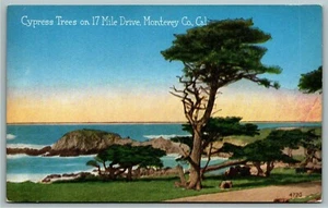 Postcard~ Cypress Trees On 17 Mile Drive~ Monterey Co., California - Picture 1 of 2