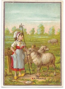 La prairie Moutons Bergère - Chromo - Trade card - Picture 1 of 2