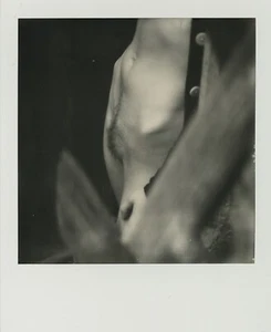 Imagen Polaroid desnuda ARTE original de Herr Merzi #396 Sasha - Imagen 1 de 1