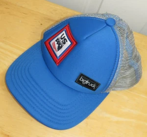 Big Truck US Ski Team Mesh Snapback Hat O/S Youth - Picture 1 of 2