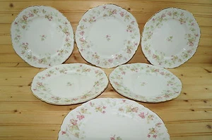 Hutschenreuther Maple Leaf (6) Dinner Plates, 9 7/8" - Picture 1 of 8