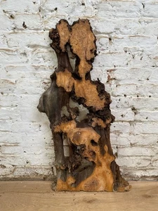 Waney Edge Live Edge Air Dried Yew Boards Planks Slabs River Table - Picture 1 of 10