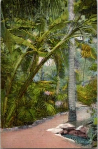 Bananenbaum Knospe & Obst Mckee Dschungel Gärten Florida Vintage Postkarte Spc13 - Bild 1 von 2