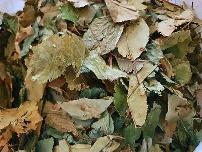 300g - 1 Kilo  KIRSCHBLÄTTER Premium - für alle Nager ! - Bild 1 von 3