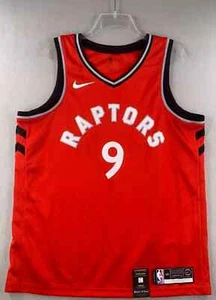 Serge Ibaka Toronto Raptors Nike Icon Edition Swingman Jersey Men's 2019 NBA #9 - Picture 1 of 13