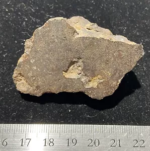 56 gramos Vaca Muerta mesosiderita meteorito acabado - Chile - Imagen 1 de 6