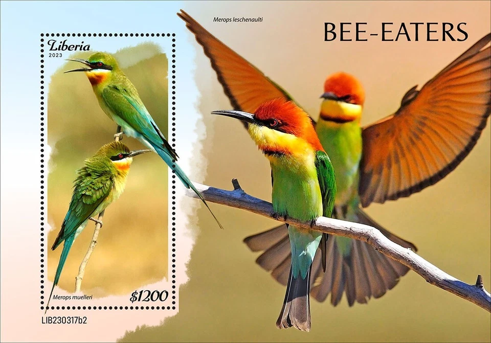 Estampillas Bee-Eaters Birds MNH 2023 Liberia S/S Foto 1 de 1