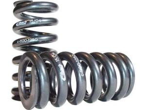 Eibach Federn Moto EIBACH Heavy Duty Progressive Spring Set 1100-1250 Lbs/Inch - Picture 1 of 1