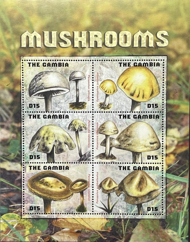 GAMBIA  MUSHROOMS STAMPS SHEET 6V 2009 MNH FUNGI FUNGUS PLANT TOADSTOOL NATURE - Image 1 of 1