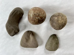 Game Stones-Sheshequin Path Wysox Susquehanna River Find - Pennsylvania Lot Of 5 - Picture 1 of 20
