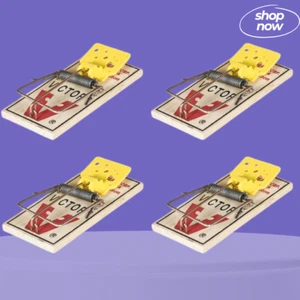 Easy Set Mouse Traps, 2-Pack ( 4 count ) - Picture 1 of 9