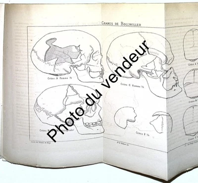 Préhistoire: Collignon 1881 Squelettes humains à Bollwiller (Haut-Rhin) et Nancy - Photo 1/4