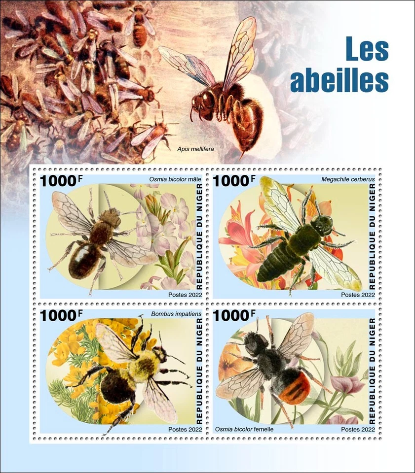 Estampillas de abejas insectos MNH 2022 Níger M/S Foto 1 de 1
