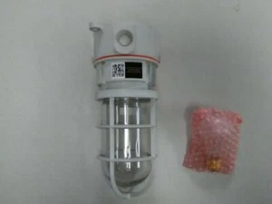 Larson Class 1 Resistant Incandescent Light - 100 Watts - Picture 1 of 3