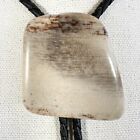 Stunning Vintage Stone Agate Fossil Western Bolo Tie ￼