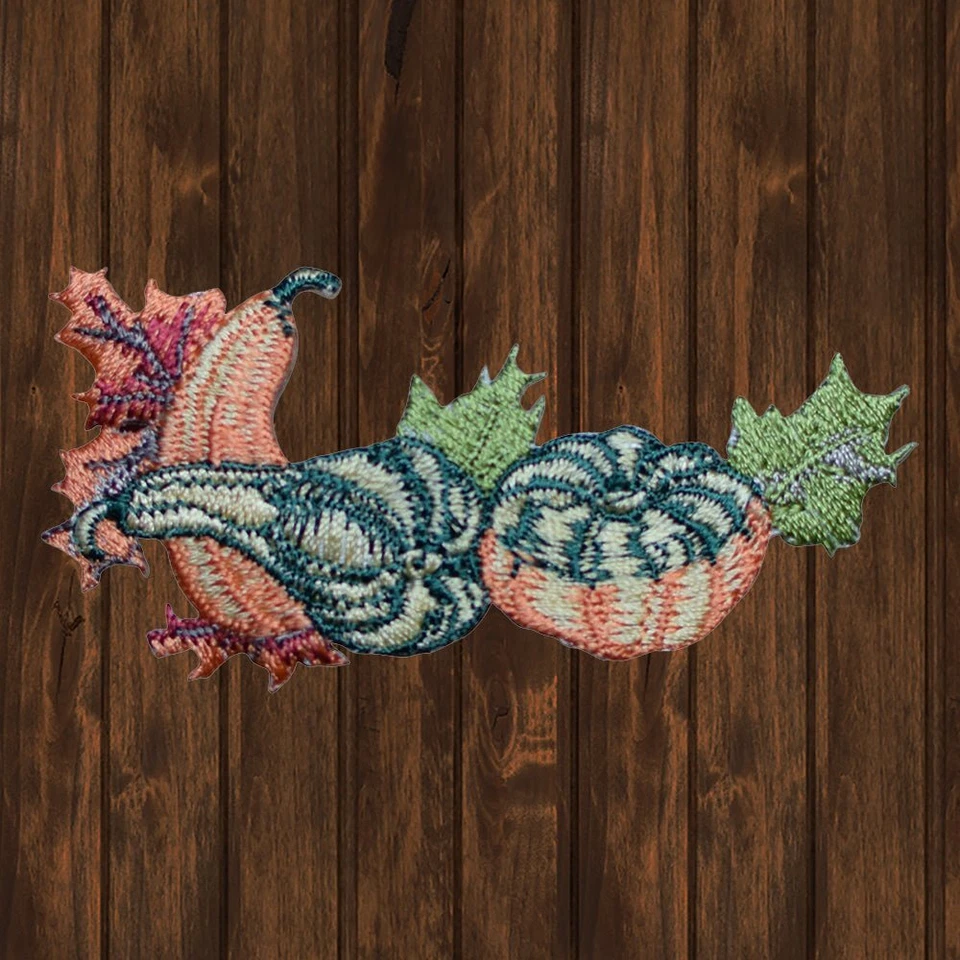 Pumpkin Gourd Embroidered Patch — Iron On - Image 1 of 1
