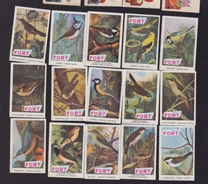 Série étiquette allumettes Belgique BN148805 Oiseaux 2 - Picture 1 of 1