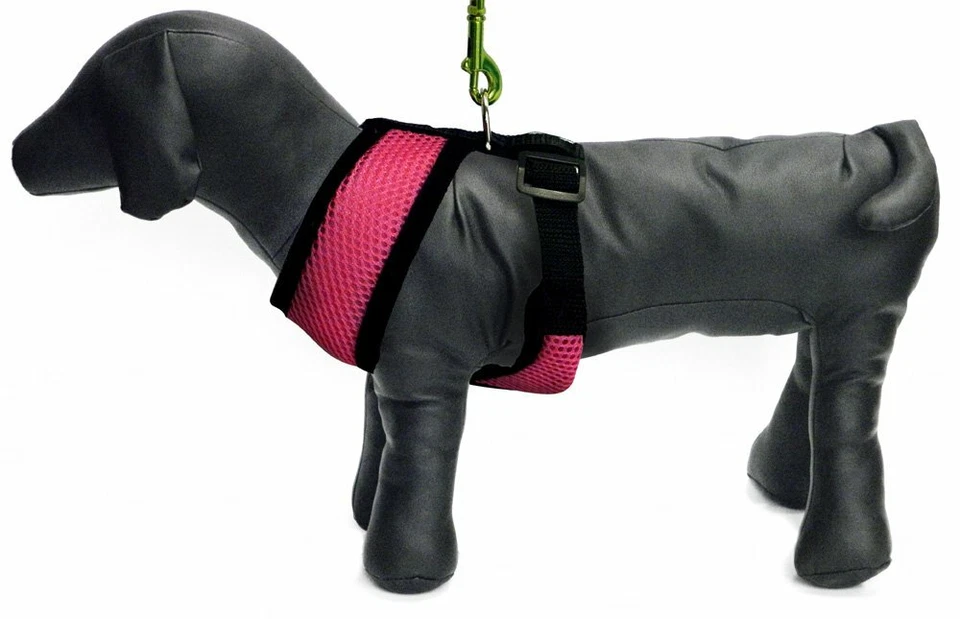 Arnés deportivo de malla reflectante pequeño Platinum Pets, rosa Foto 1 de 1