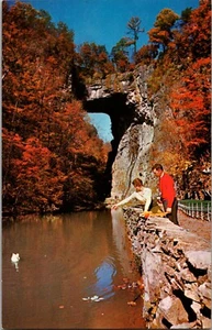 Postal Vista Otoño Puente Natural Virginia Cromo Sin Publicar - Imagen 1 de 2