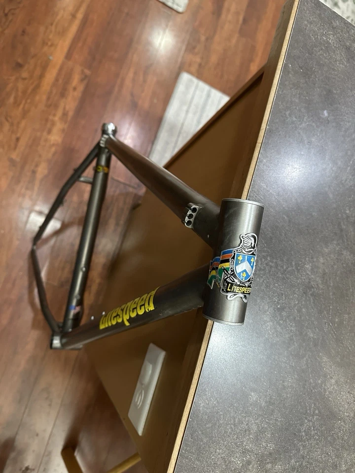 "Litespeed Ocoee 1994 personalizado, basado en un cuadro de 18"" en stock". Foto 1 de 4