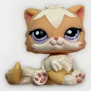 Authentic Littlest Pet Shop #1657 Persian Cat Kitty / Original Hasbro LPS - Picture 1 of 4