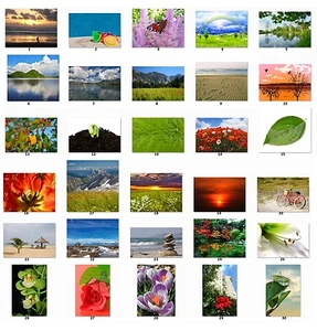 30 Etichette Indirizzi Personalizzate Bellissime Immagini Scenari (bs1) - Foto 1 di 3