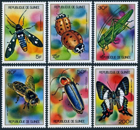 Guinea 636-641,MNH.Michel 661-667. Butterflies,Beetles,1973.Syntomedia epilais Cover