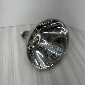 250W Watt Infrared Brooder Chicken Coop Hen House Clear Heat Lamp (Bulb Only) - Picture 1 of 4