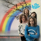 The Petards, Burning Rainbows (Vinyl - LP NM) Album 1981, Prog Rock