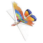 DIY Papagei Papierflugzeug RC Flugzeug Outdoor Spa&#223; Spielzeug f&#252;r Kinder