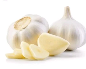 6 - 30 FRESH GARLIC BULBS/CLOVES - Picture 1 of 1