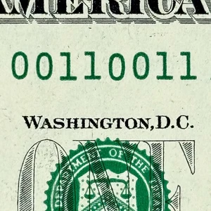 True Binary 0s 1s Quad Repeater 0011 0011 Consecutive Pairs Low Sum Dollar Fancy - Picture 1 of 6