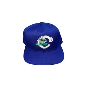 Vtg Rare NWT MiLB Charlotte Knights New Era Pro Model Snapback Hat - Picture 1 of 4
